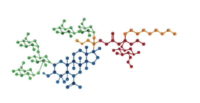 QS-21-Api Molecular Structure